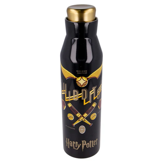 BOTELLA TÉRMICA DE ACERO INOXIDABLE 580 ML HARRY POTTER